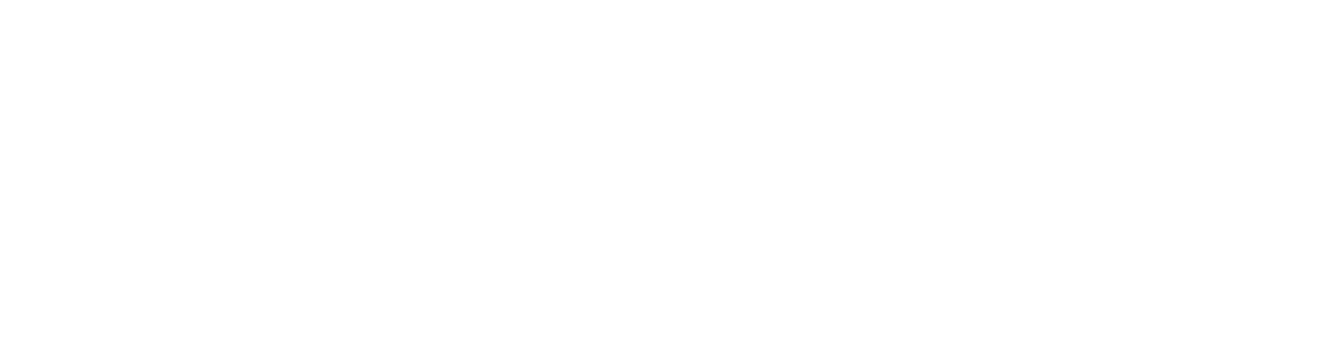 avinoc logo